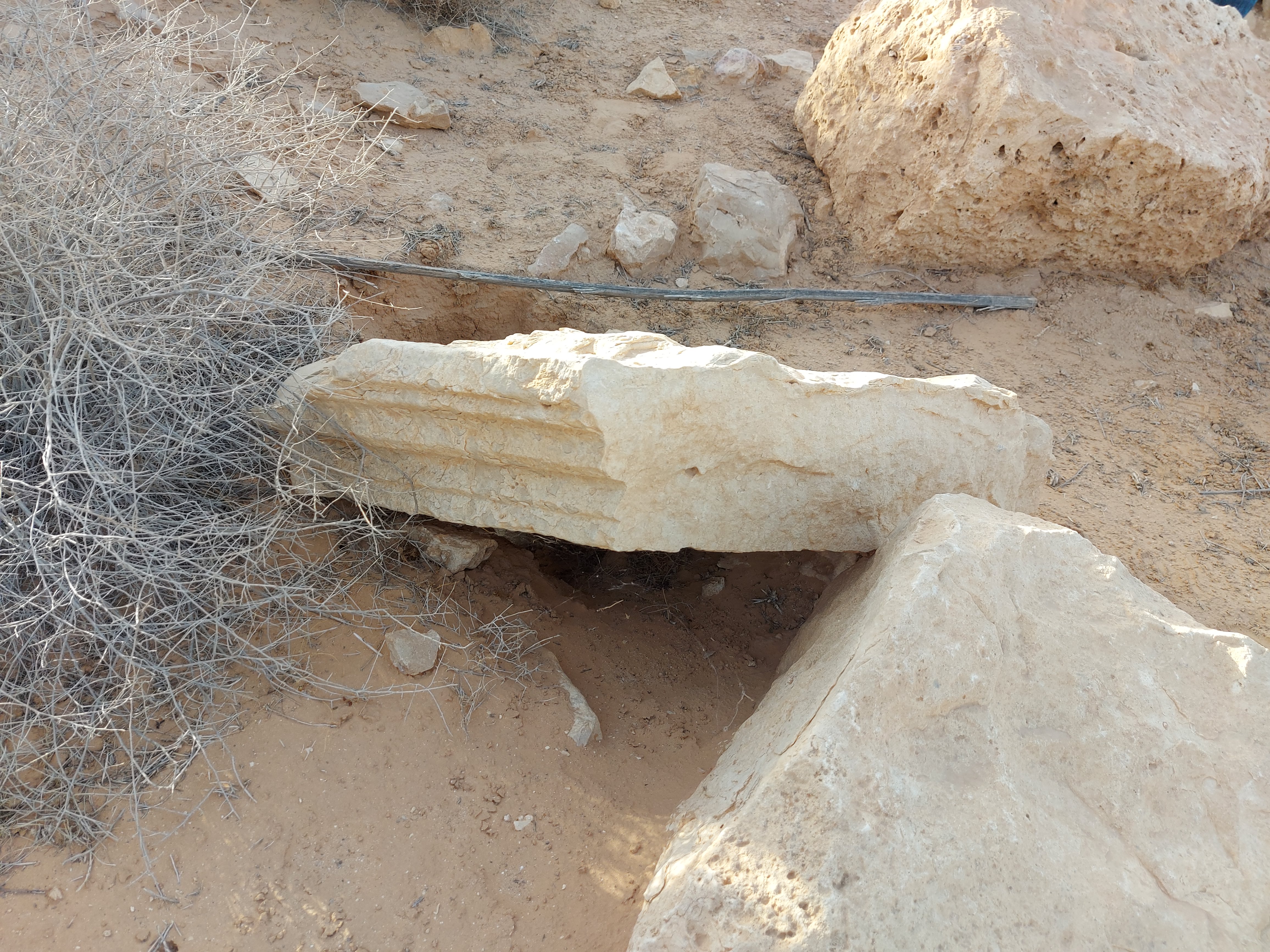 Tlalet image 2